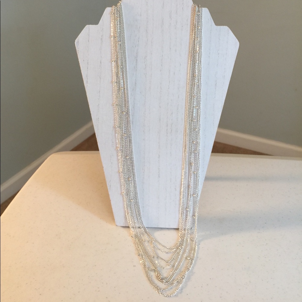 Charming Charlie Silver Necklace